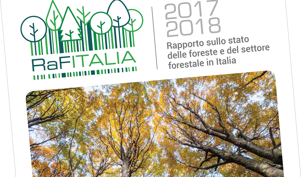 Primo Rapporto sullo stato delle foreste e del settore forestale